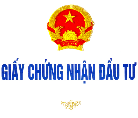 Tư vấn thủ tục đầu tư ra nước ngoài tại Hà Nội